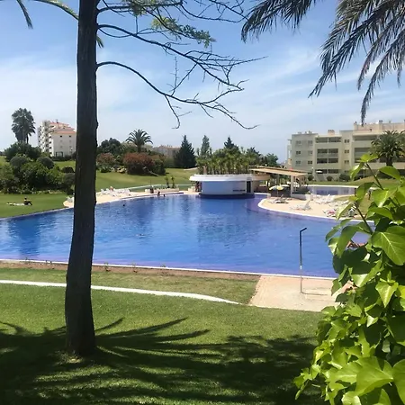 Spacious In - 100 M² With Shared Pool 아파트 알보르